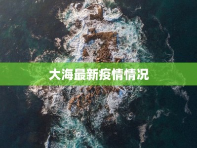 大海最新疫情情况