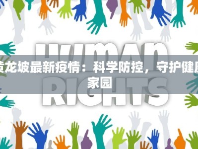 黄龙坡最新疫情：科学防控，守护健康家园