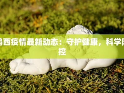 龙岗西路疫情最新消息：守护健康，科学防控