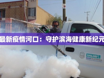 最新疫情河口：守护滨海健康新纪元