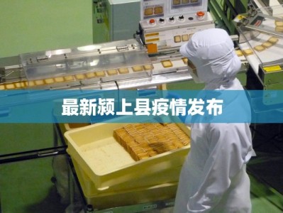 最新颍上县疫情发布