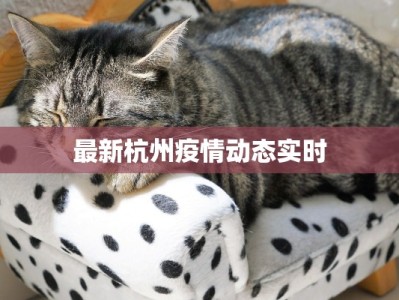 最新杭州疫情动态实时