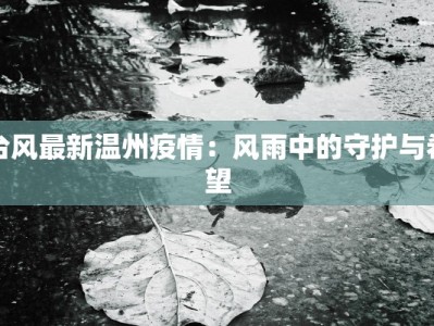 台风最新温州疫情：风雨中的守护与希望