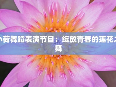 小荷舞蹈表演节目：绽放青春的莲花之舞