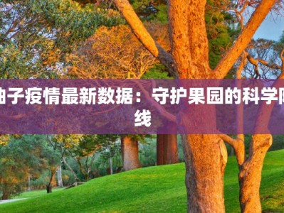 邢台爆料最新疫情