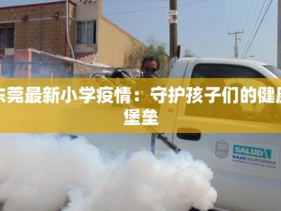 东莞最新小学疫情：守护孩子们的健康堡垒