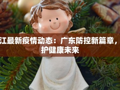 湛江最新疫情动态：广东防控新篇章，守护健康未来