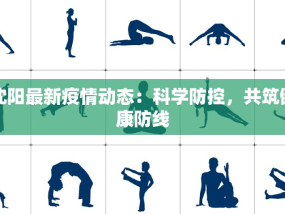 沈阳最新疫情动态：科学防控，共筑健康防线