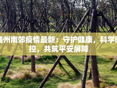随州南郊疫情最新：守护健康，科学防控，共筑平安屏障