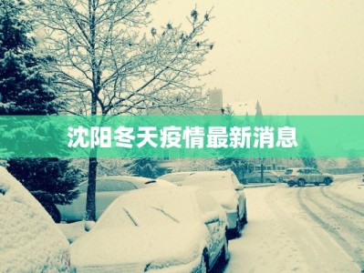 沈阳冬天疫情最新消息