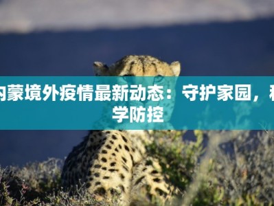 内蒙境外疫情最新动态：守护家园，科学防控