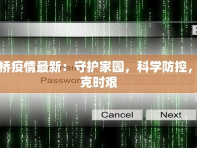丁桥疫情最新：守护家园，科学防控，共克时艰