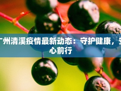 广州清溪疫情最新动态：守护健康，安心前行