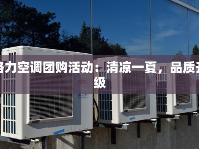格力空调团购活动：清凉一夏，品质升级