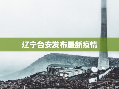 辽宁台安发布最新疫情