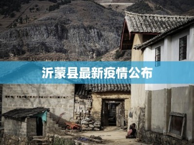 安皋徐坪疫情近况最新