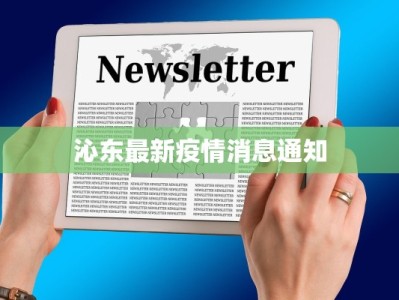 遂平疫情快报最新