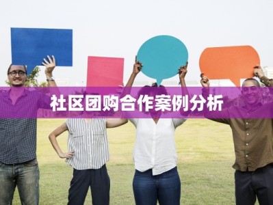 社区团购合作案例分析
