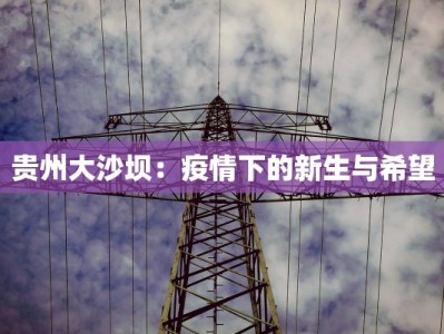 贵州大沙坝：疫情下的新生与希望