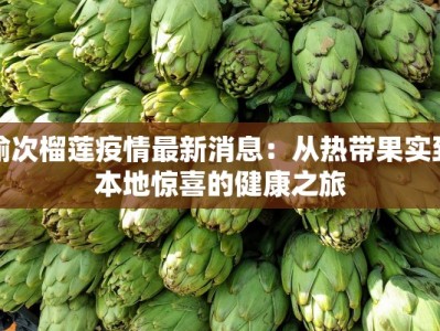 包头疫情最新消息：科学防控，守护健康生活