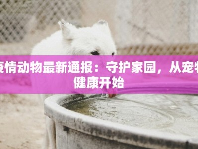 疫情动物最新通报：守护家园，从宠物健康开始