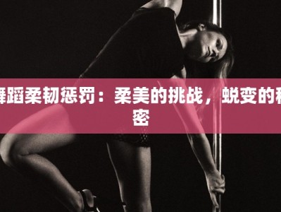 舞蹈柔韧惩罚：柔美的挑战，蜕变的秘密