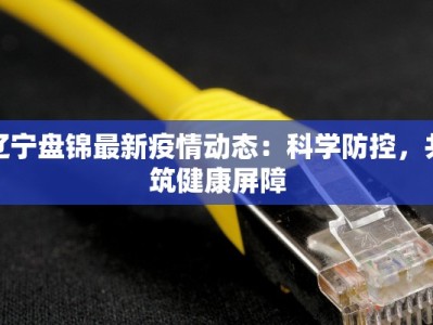 辽宁盘锦最新疫情动态：科学防控，共筑健康屏障