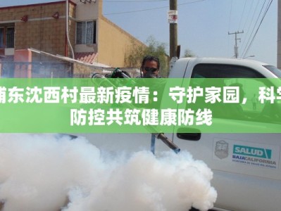 浦东沈西村最新疫情：守护家园，科学防控共筑健康防线