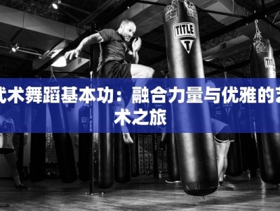 武术舞蹈基本功：融合力量与优雅的艺术之旅