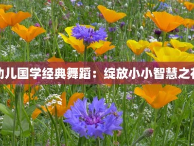 幼儿国学经典舞蹈：绽放小小智慧之花