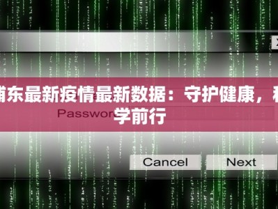 浦东最新疫情最新数据：守护健康，科学前行