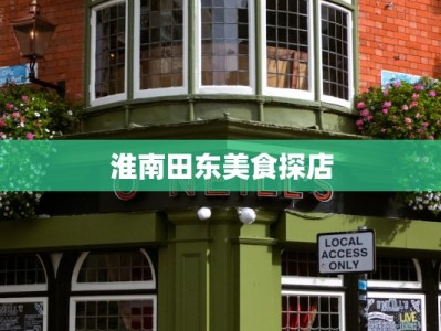 淮南田东美食探店