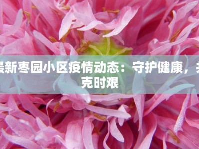 最新枣园小区疫情动态：守护健康，共克时艰