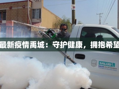 最新疫情禹城：守护健康，拥抱希望