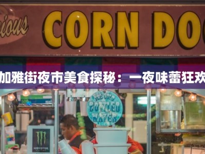 加雅街夜市美食探秘：一夜味蕾狂欢