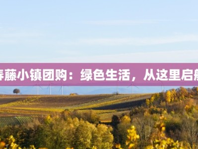 春藤小镇团购：绿色生活，从这里启航