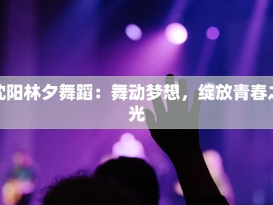 沈阳林夕舞蹈：舞动梦想，绽放青春之光