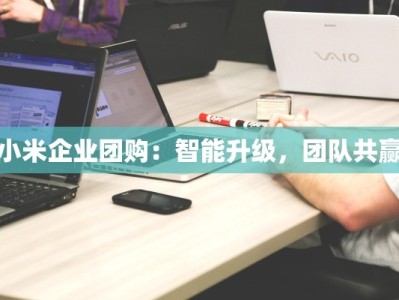小米企业团购：智能升级，团队共赢