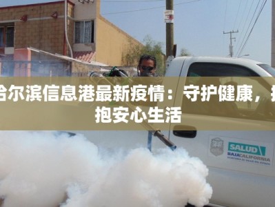 哈尔滨信息港最新疫情：守护健康，拥抱安心生活