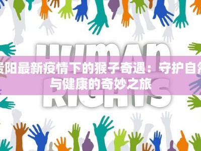 南充北湖最新疫情情况