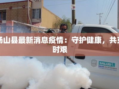 汤山县最新消息疫情：守护健康，共克时艰