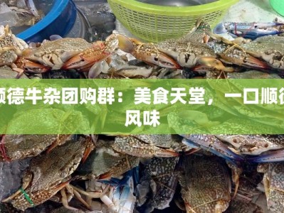 顺德牛杂团购群：美食天堂，一口顺德风味