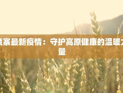 藏寨最新疫情：守护高原健康的温暖力量