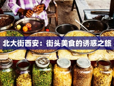 北大街西安：街头美食的诱惑之旅