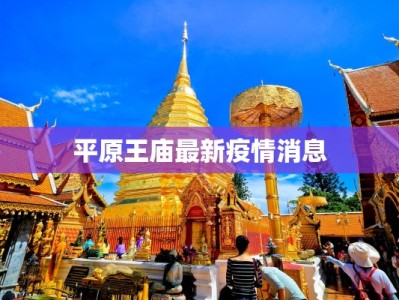 平原王庙最新疫情消息