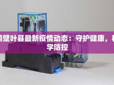 最新疫情风险地带划分