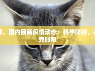 嗯，国内最新疫情动态：科学防控，共克时艰