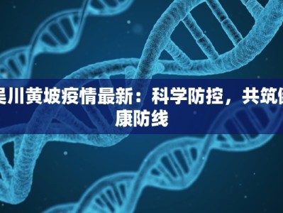 吴川黄坡疫情最新：科学防控，共筑健康防线