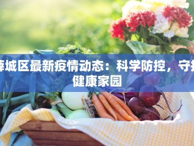 薛城区最新疫情动态：科学防控，守护健康家园