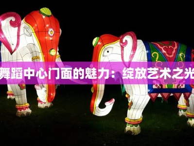 舞蹈中心门面的魅力：绽放艺术之光